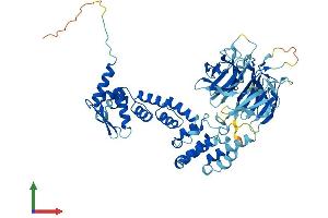 Protein Structure (PS) image for Ectodermal-Neural Cortex 1 (With BTB-Like Domain) (ENC1) (AA 1-589) protein (His tag) (ABIN7562367)