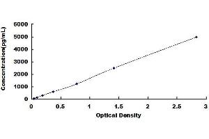 Typical standard curve (NRF1 ELISA 试剂盒)