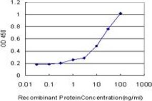 Detection limit for recombinant GST tagged MAP2K6 is approximately 0. (MAP2K6 抗体  (AA 231-334))