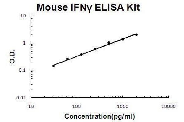 Interferon gamma ELISA 试剂盒