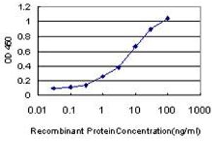 Detection limit for recombinant GST tagged GPNMB is approximately 0. (Osteoactivin 抗体  (AA 104-203))