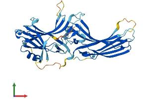 Protein Structure (PS) image for Arrestin 3, Retinal (X-Arrestin) (ARR3) (AA 1-381) protein (His tag) (ABIN7561407)