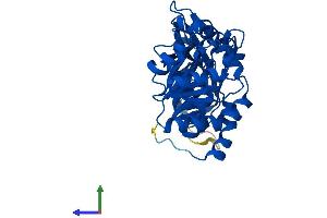Protein Structure (PS) image for Epilepsy, Progressive Myoclonus Type 2A, Lafora Disease (Laforin) (EPM2A) (AA 1-331) protein (His tag) (ABIN7553804)