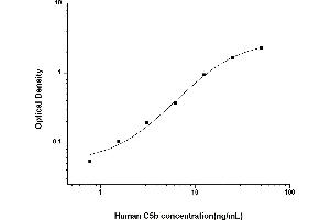 Complement C5b ELISA 试剂盒