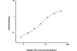 Typical standard curve (Complement C5b ELISA 试剂盒)