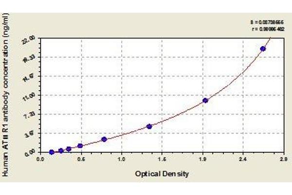 Angiotensin II Receptor, Type 1 Antibody (AGTR1 Ab) ELISA 试剂盒