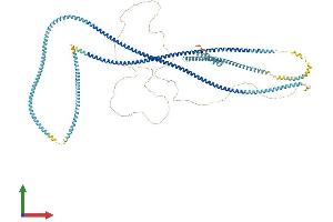 AlphaFold protein structure predicition of Human Recombinant CCDC40 Protein, UniprotID Q4G0X9