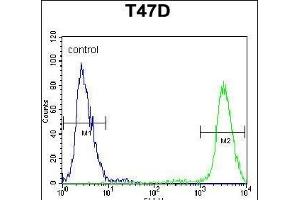 PIGM Antibody (C-term) (ABIN650949 and ABIN2840006) flow cytometric analysis of T47D cells (right histogram) compared to a negative control cell (left histogram). (PIGM 抗体  (C-Term))