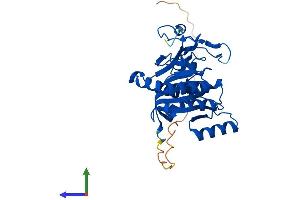 Protein Structure (PS) image for UDP-Gal:betaGal beta 1,3-Galactosyltransferase Polypeptide 6 (B3GALT6) (AA 1-325) protein (His tag) (ABIN7560131)