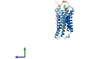 AlphaFold protein structure predicition of Human Recombinant GPR132 Protein, UniprotID Q9UNW8 (G Protein-Coupled Receptor 132 Protein (GPR132) (AA 1-380) (His tag))