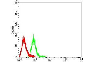 Flow Cytometry (FACS) image for anti-CD1b (CD1B) (AA 18-303) antibody (ABIN5611268)