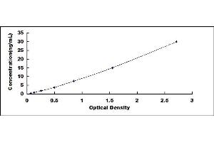 Low Density Lipoprotein Receptor-Related Protein 1B (LRP1B) ELISA Kit