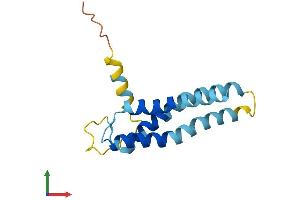 AlphaFold protein structure predicition of Human Recombinant TMEM170A Protein, UniprotID Q8WVE7