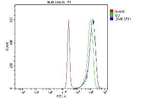 Flow Cytometry analysis of JK cells using anti-LSM8 antibody (ABIN7599578). (NAA38 抗体  (AA 1-96))