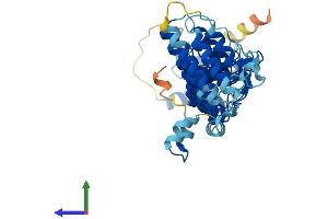Protein Structure (PS) image for Ankyrin Repeat and SOCS Box Containing 6 (ASB6) (AA 1-421) protein (His tag) (ABIN7552347)