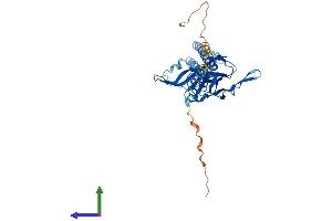Protein Structure (PS) image for Potassium Inwardly-Rectifying Channel, Subfamily J, Member 9 (KCNJ9) (AA 1-393) protein (His tag) (ABIN7563319)