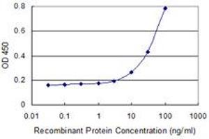 Detection limit for recombinant GST tagged TCN2 is 1 ng/ml as a capture antibody. (TCN2 抗体  (AA 1-400))