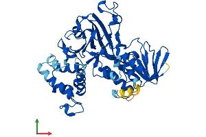 Protein Structure (PS) image for GDP Dissociation Inhibitor 1 (GDI1) (AA 1-447) protein (His tag) (ABIN7563359)