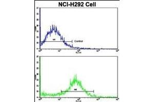 Flow Cytometry (FACS) image for anti-Vesicle Transport through Interaction with t-SNAREs 1A (VTI1A) (AA 140-169), (C-Term) antibody (ABIN652543)