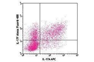 Flow Cytometry (FACS) image for anti-Interleukin 17F (IL17F) antibody (Alexa Fluor 488) (ABIN2657542) (IL17F 抗体  (Alexa Fluor 488))