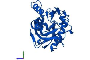 Protein Structure (PS) image for Isopentenyl-Diphosphate delta Isomerase 1 (IDI1) (AA 1-227) protein (His tag) (ABIN7556506)