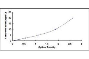 Typical standard curve (Thymidine Phosphorylase ELISA 试剂盒)
