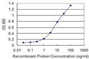 Detection limit for recombinant GST tagged VGLL1 is 0. (VGLL1 抗体  (AA 1-100))