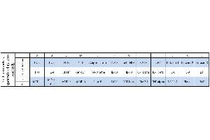 Image no. 1 for Human Neuro Discovery Array C2 (ABIN4955903) (人 Neuro Discovery Array C2)