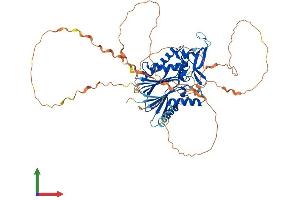 Protein Structure (PS) image for Protein Phosphatase, Mg2+/Mn2+ Dependent, 1D (PPM1D) (AA 1-605) protein (His tag) (ABIN7550974)