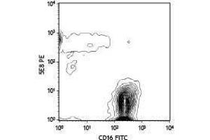 Flow Cytometry (FACS) image for anti-Chemokine (C-C Motif) Receptor 3 (CCR3) antibody (PE) (ABIN2663118) (CCR3 抗体  (PE))