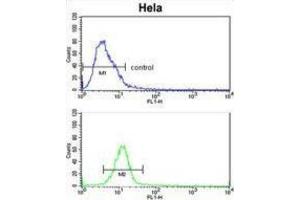 Flow Cytometry (FACS) image for anti-EPH Receptor B3 (EPHB3) antibody (ABIN3003350) (EPH Receptor B3 抗体)