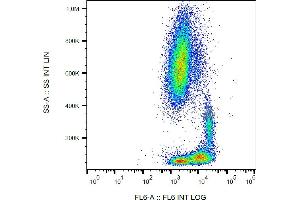 Flow cytometry analysis (surface staining) of human peripheral blood with anti-human CD29 (MEM-101A) APC.