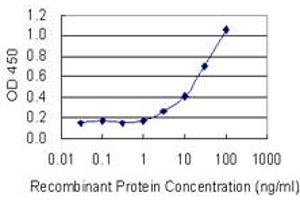 Detection limit for recombinant GST tagged FUBP3 is 0. (FUBP3 抗体  (AA 152-261))