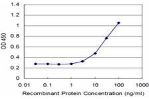 Detection limit for recombinant GST tagged ZNF70 is approximately 3ng/ml as a capture antibody. (ZNF70 抗体  (AA 1-446))