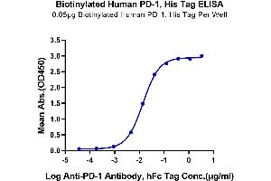 ELISA image for Programmed Cell Death 1 (PDCD1) (AA 25-167) protein (His-Avi Tag,Biotin) (ABIN7275421)