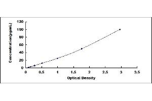 Typical standard curve (IL28A ELISA 试剂盒)