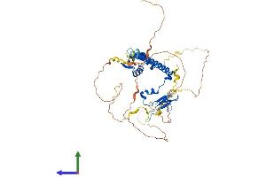 AlphaFold protein structure predicition of Mouse Recombinant E2f2 Protein, UniprotID P56931