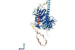 Protein Structure (PS) image for Coronin, Actin Binding Protein, 2A (CORO2A) (AA 1-524) protein (His tag) (ABIN7559083)