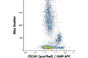 Flow cytometry surface staining pattern of human peripheral whole blood stained using anti-human CD184 (12G5) purified antibody (concentration in sample 0,33 μg/mL) GAM APC. (CXCR4 抗体)