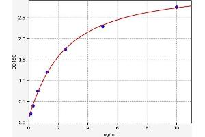 SLC16A1 ELISA 试剂盒