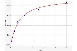 Typical standard curve (FADS3 ELISA 试剂盒)