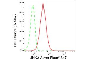 Flow cytometric analysis of JNK3 expression in HT- cells using JNK3 antibody (ABIN7799443), 1:2,000). (Recombinant MAPK10 抗体)