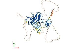AlphaFold protein structure predicition of Human Recombinant DCLK2 Protein, UniprotID Q8N568