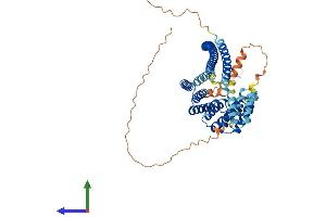 Protein Structure (PS) image for Kinesin Light Chain 3 (KLC3) (AA 1-508) protein (His tag) (ABIN7560009)