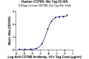 ELISA image for CD79b Molecule, Immunoglobulin-Associated beta (CD79B) (AA 29-159) protein (His-Avi Tag) (ABIN7274234)