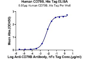 Immobilized Human CD79B, His Tag at 0. (CD79b Protein (AA 29-159) (His-Avi Tag))