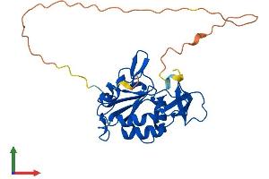 Protein Structure (PS) image for CTD (Carboxy-terminal Domain, RNA Polymerase II, Polypeptide A) Small Phosphatase 1 (CTDSP1) (AA 1-261) protein (His tag) (ABIN7546864)