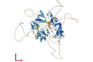 Protein Structure (PS) image for Pleckstrin Homology Domain Containing, Family M (With RUN Domain) Member 1 (PLEKHM1) (AA 1-1074) protein (His tag) (ABIN7564216)