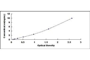 Typical standard curve (TRKB ELISA 试剂盒)