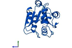 Protein Structure (PS) image for Retinoblastoma Binding Protein 9 (RBBP9) (AA 1-186) protein (His tag) (ABIN7562672)
